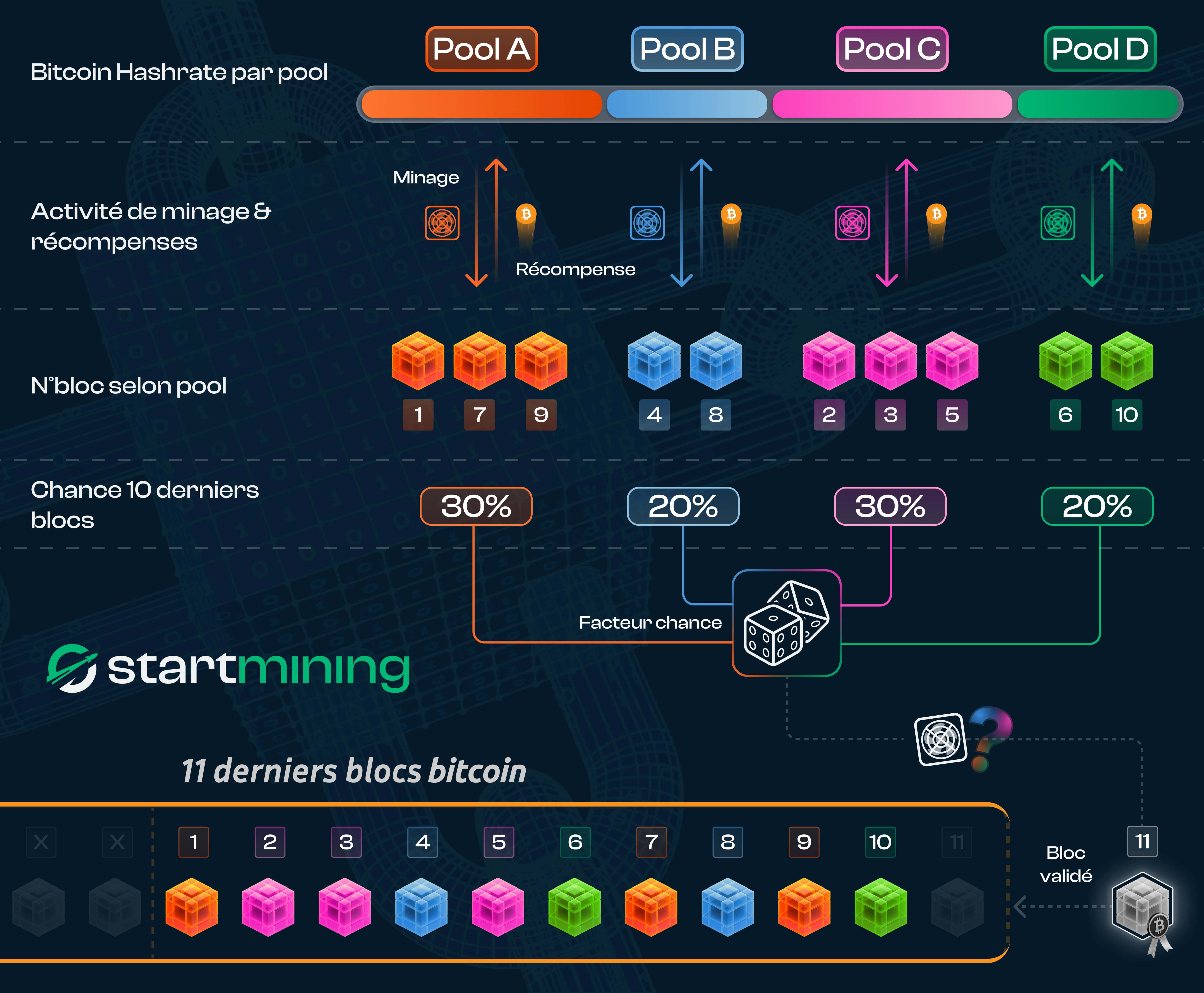 Camembert illustrant le lien entre la part de hashrate détenue par chaque pool de minage Bitcoin et le nombre de blocs validés.