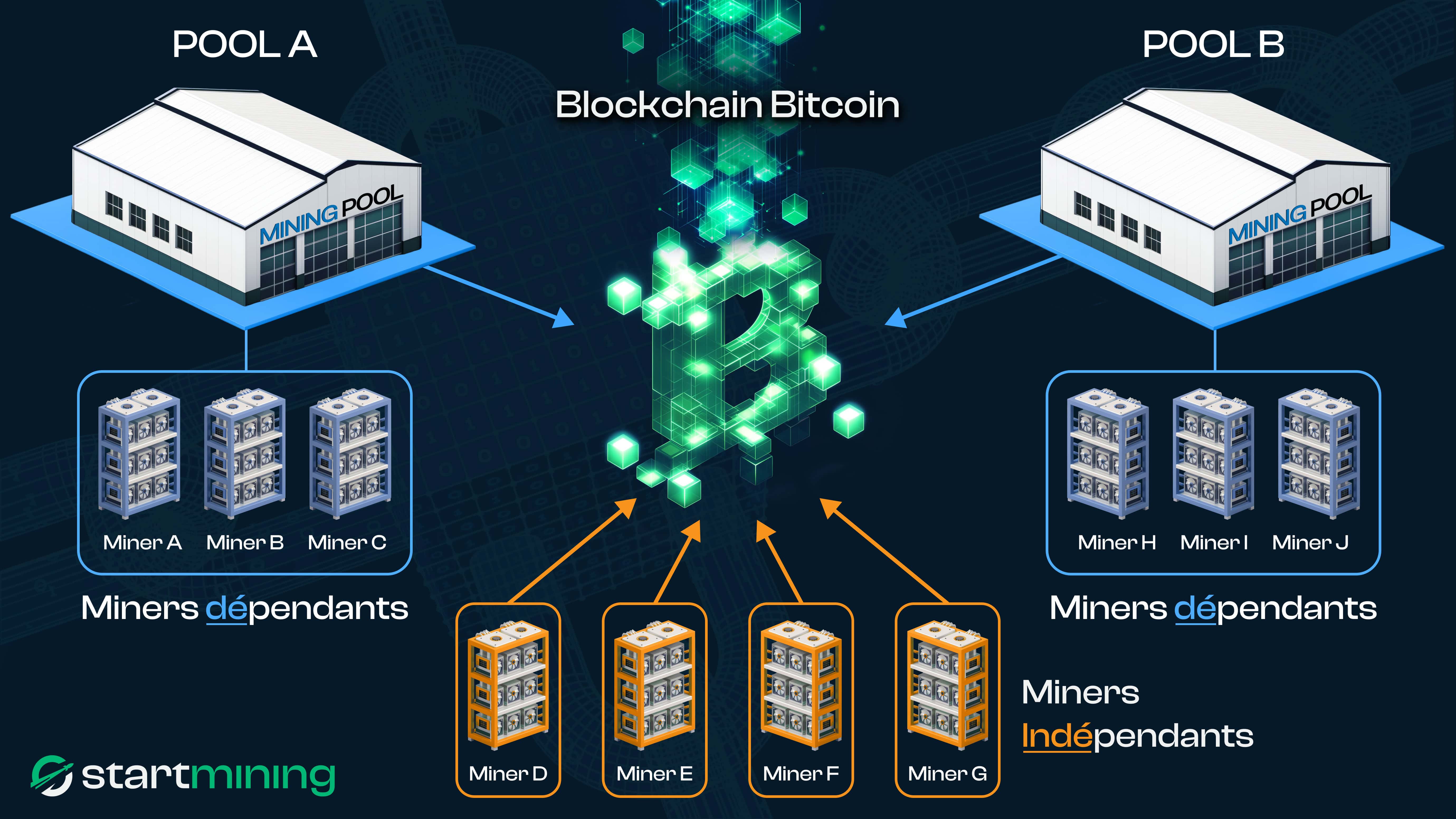Schéma des mineurs Bitcoin connectés à la blockchain via des pools de minage ou en solo.