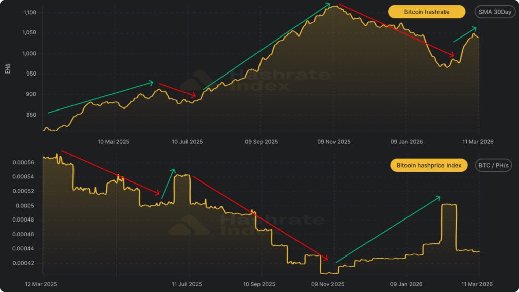 Evolution du hashrate du réseau Bitcoin et du hashprice entre 2025 et 2026 montrant la relation entre puissance de calcul et rentabilité du mining